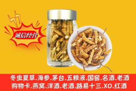 衢江区回收散虫草